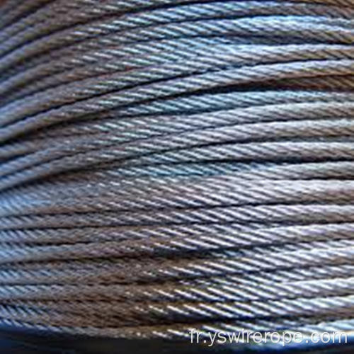 316 ROPE DE VIEUX en acier inoxydable 1x19 3,18 mm